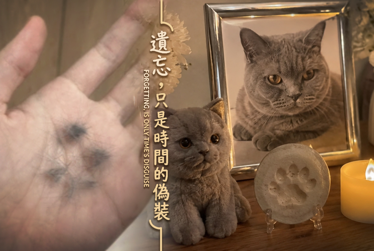 那些被時間偽裝成“遺忘”的坎，其實從未過去