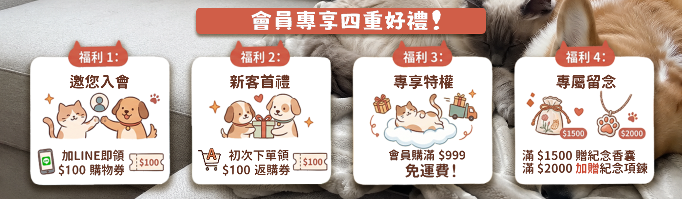 主頁